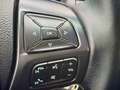 Ford Ranger Ranger Doppelkabine Wildtrak 4x4 3,2 TDCi Aut. Limited Beige - thumbnail 16