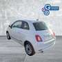 Fiat 500 500 1.2 EasyPower Lounge Bianco - thumbnail 2