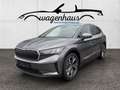 Skoda Enyaq iV 80 82kWh, ACC, Blindspot, Akku Test Grau - thumbnail 1