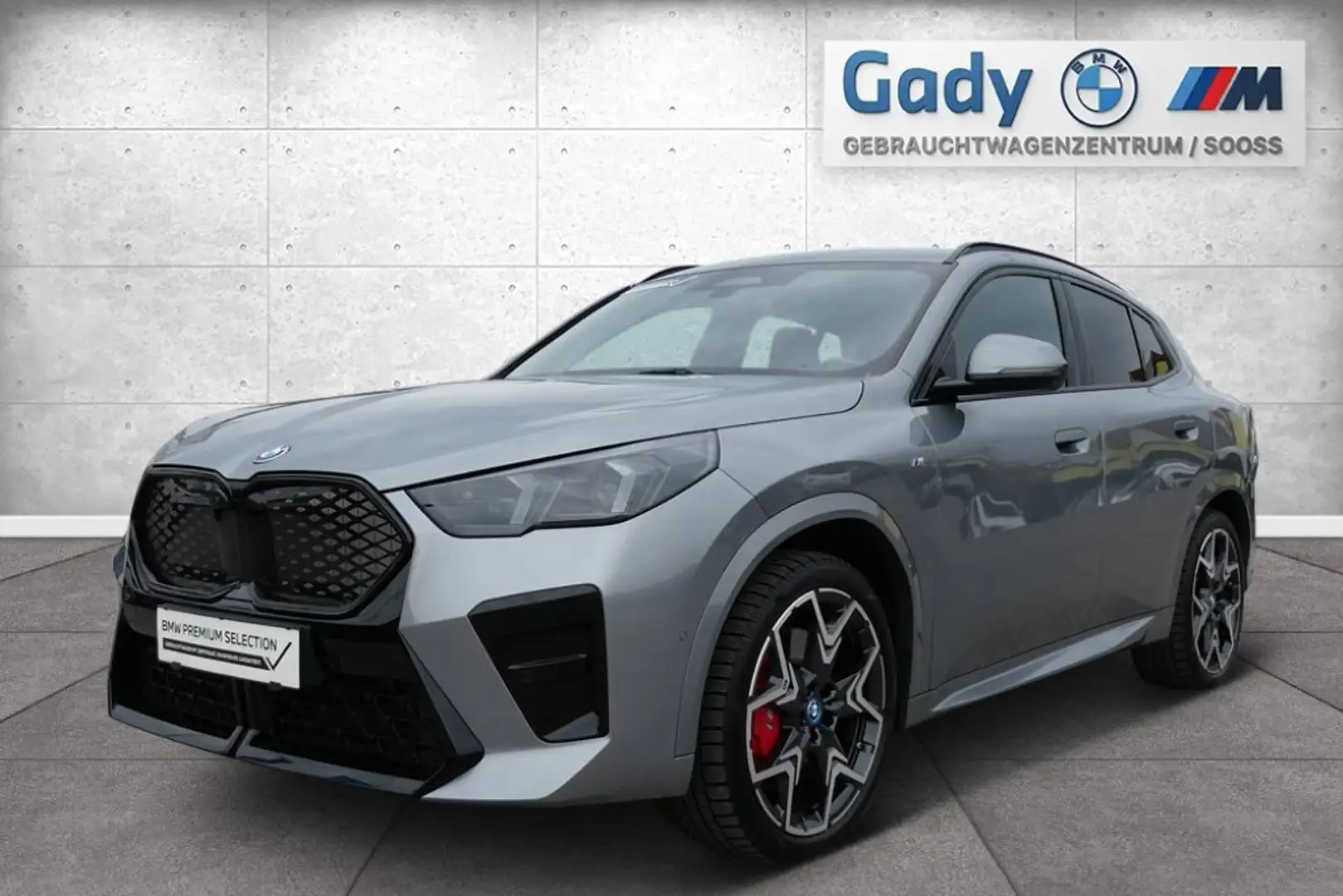 BMW iX2 eDrive20 Grau - 1