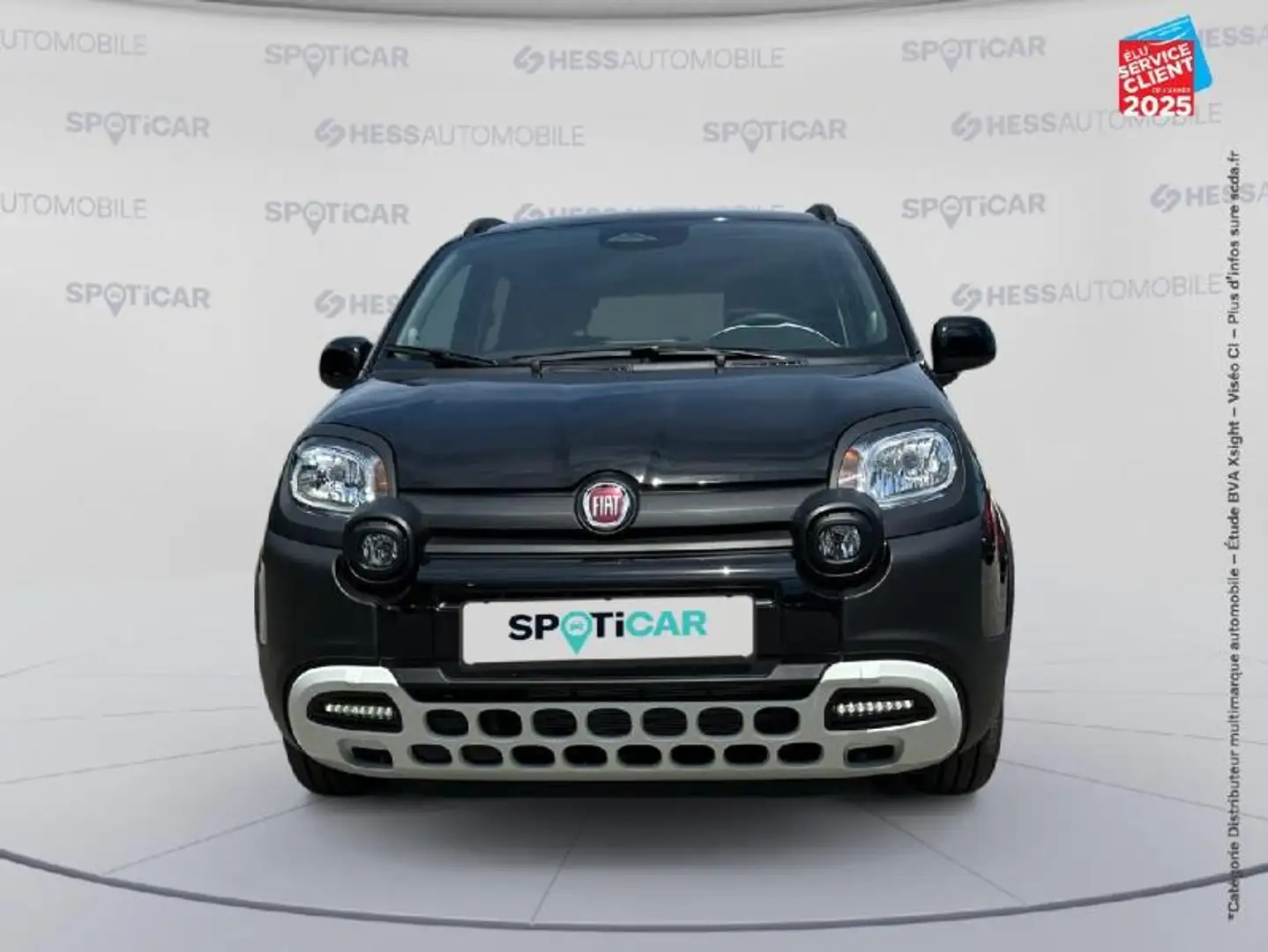 Fiat Panda Classic 1.0 70ch BSG S\u0026S Pandina Noir - 2
