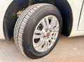Fiat Punto Punto 1.4 8V 5 porte Natural Power Easy Bianco - thumbnail 14