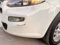 Fiat Punto Punto 1.4 8V 5 porte Natural Power Easy Bianco - thumbnail 7
