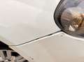 Fiat Punto Punto 1.4 8V 5 porte Natural Power Easy Bianco - thumbnail 12