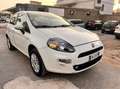 Fiat Punto Punto 1.4 8V 5 porte Natural Power Easy Bianco - thumbnail 3