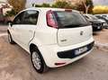 Fiat Punto Punto 1.4 8V 5 porte Natural Power Easy Bianco - thumbnail 5