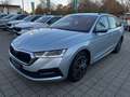 Skoda Octavia Combi 2.0 TDI DPF Clever beheiz. WSS Argento - thumbnail 2