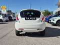 Lancia Ypsilon 0.9 TwinAir Metano Ecochic Platinum Bianco - thumbnail 7