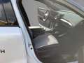 Renault Scenic Techno 220 Long Range Blanc - thumbnail 7