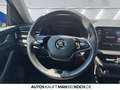 Skoda Kamiq Clever 1.5 TSI DSG Navi behz WSS Kamera LED Blauw - thumbnail 9