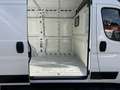 Fiat Ducato Fg. 35 3.0 Natural Power L2 H2 Blanc - thumbnail 17
