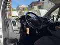 Fiat Ducato Fg. 35 3.0 Natural Power L2 H2 Blanc - thumbnail 6