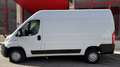Fiat Ducato Fg. 35 3.0 Natural Power L2 H2 Blanc - thumbnail 11