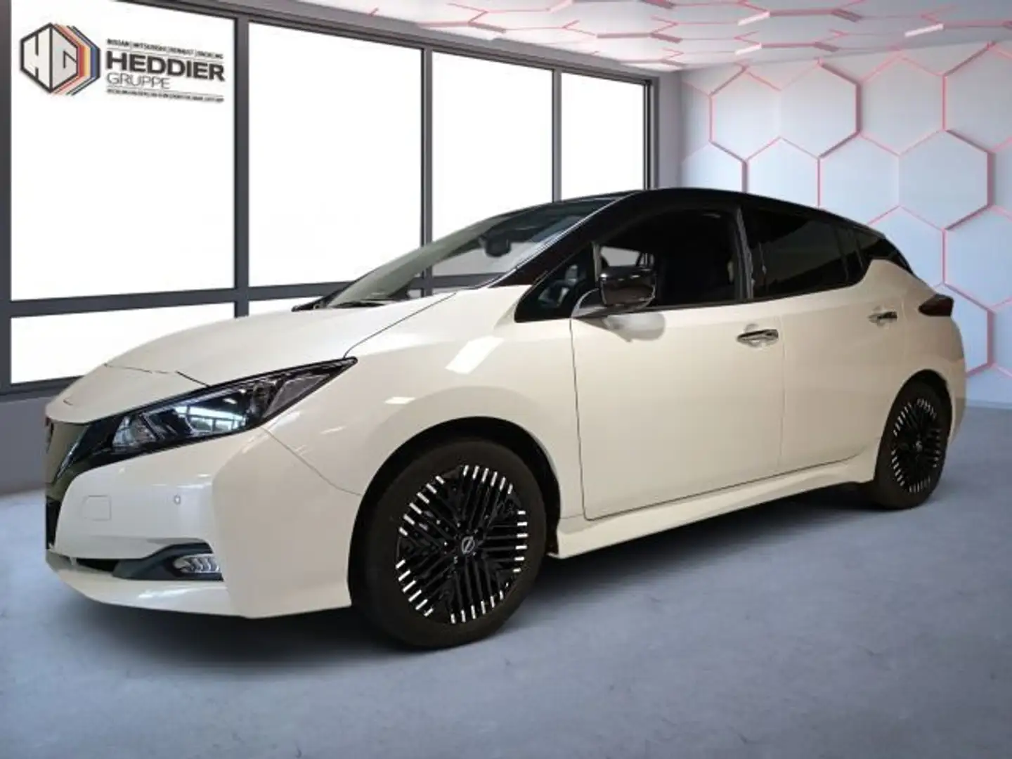 Nissan Leaf N-Connecta Winterpaket LED Bianco - 1