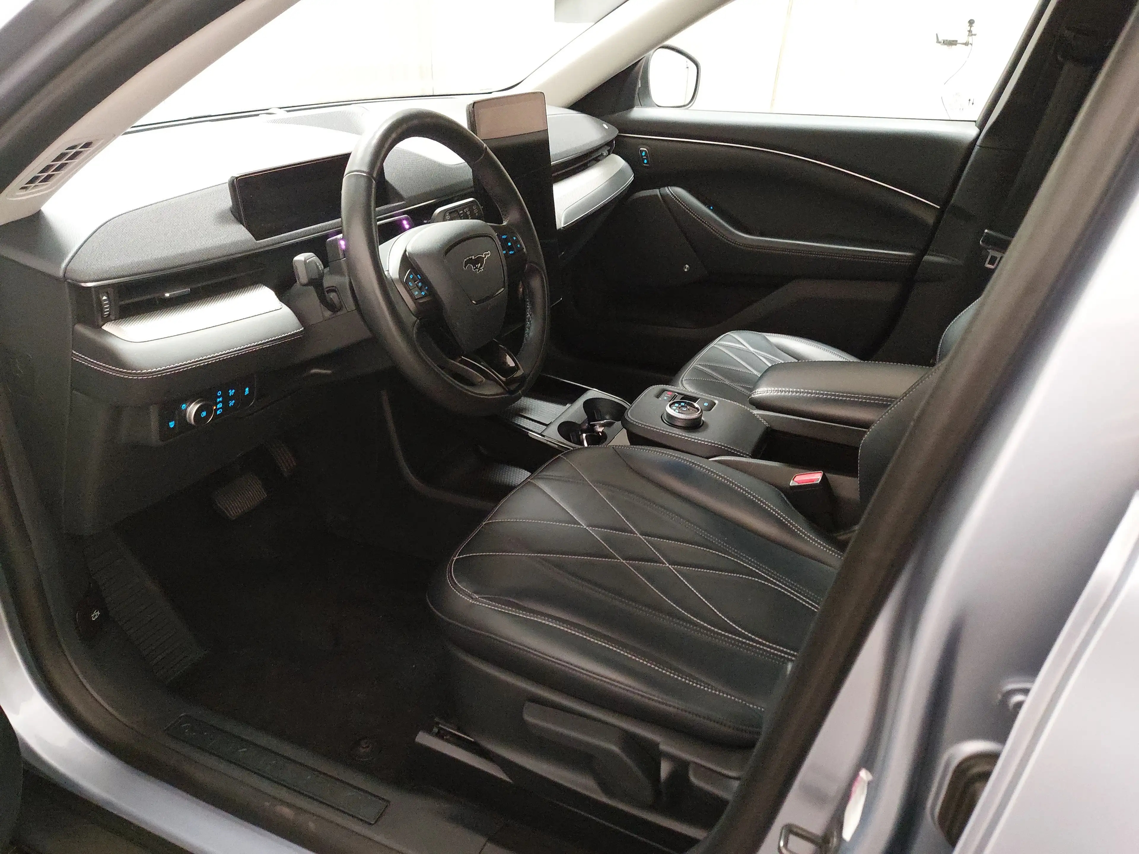 Ford Mustang Mach-E — photo 6