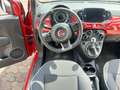 Fiat 500 500 1.2 Sport 69cv my20 Rosso - thumbnail 14