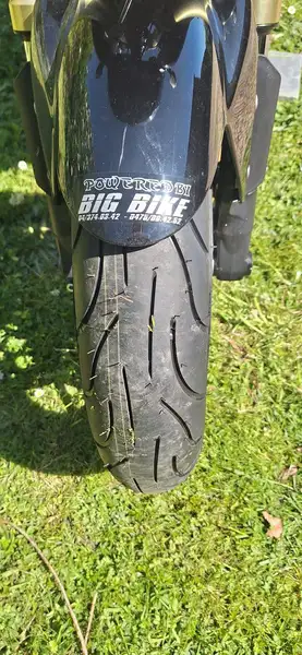 Triumph Tiger 1050 - foto 5
