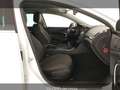 Opel Insignia 2.0 CDTI 160CV Sports Tourer aut. Electi Bianco - thumbnail 10