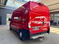Fiat Ducato 2.3 D L2H2 AUTOMATIK RAMPE WERKSTATT AHK Rot - thumbnail 7