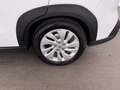 Suzuki SX4 S-Cross 1.6 Benzin LED RADAR R-CAM SITZHZG Weiß - thumbnail 28