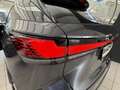 Lexus RX 450h + Silber - thumbnail 34