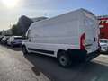 Fiat Ducato 35 L3H2 2.3 Multijet (118 kW) Blanc - thumbnail 5