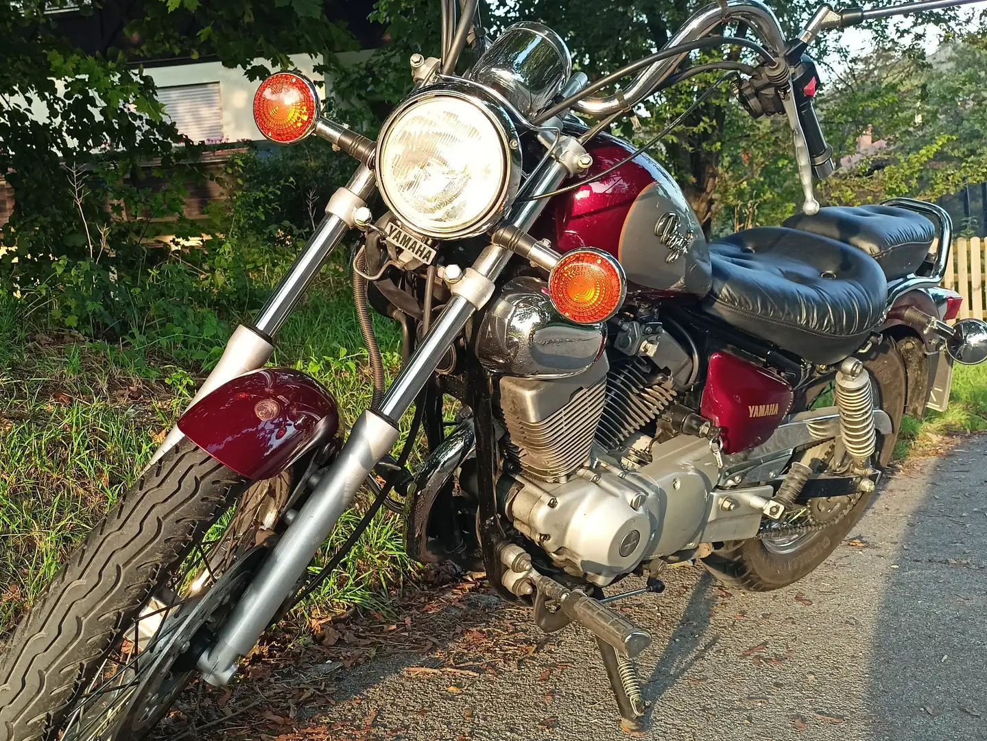 Yamaha XV 250 Virago Rot - 1