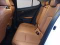 Lexus UX 250h 2.0 premium 4wd cvt Bianco - thumbnail 5