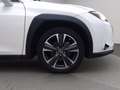 Lexus UX 250h 2.0 premium 4wd cvt Bianco - thumbnail 11