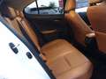 Lexus UX 250h 2.0 premium 4wd cvt Bianco - thumbnail 13