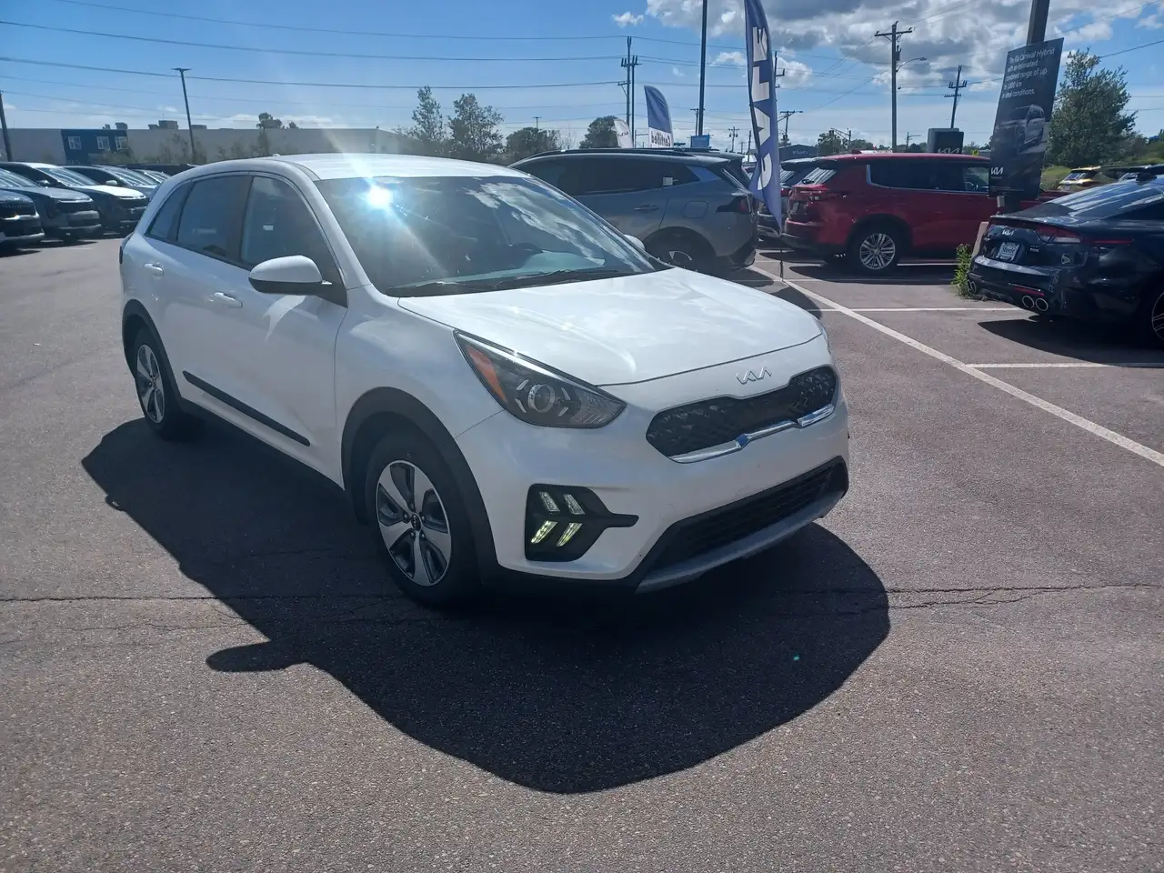 Kia Niro photo Kia Niro