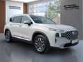 Hyundai SANTA FE 1.6 TGDi HEV SEVEN 4WD PRIME HuD/PANO/EHK/KRELL White - thumbnail 2