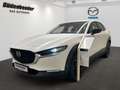 Mazda CX-30 2.5L e-SKYACTIV G 140ps 6MT FWD Homura Maz Weiß - thumbnail 1