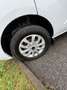 Ford Transit Custom Limited Weiß - thumbnail 5