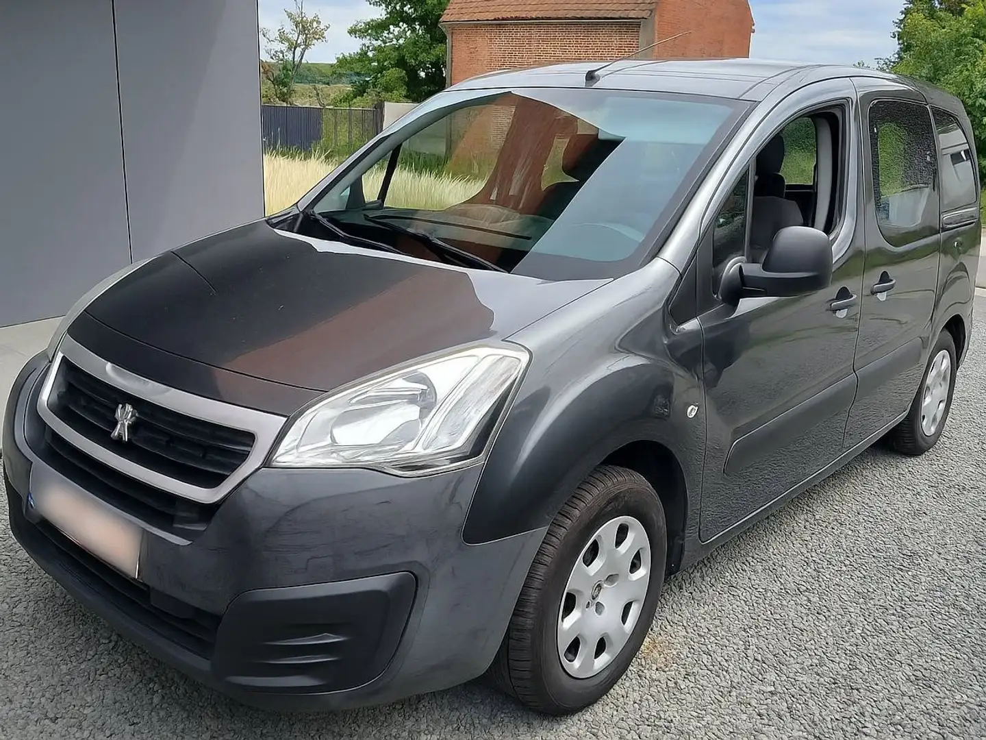 Peugeot Partner Partner Tepee 1.6i Access Gri - 2