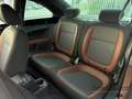 Volkswagen Beetle *Allstar*8-Fach*Navigationssystem*SHZ*Kamera*Schwa Schwarz - thumbnail 15