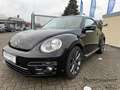 Volkswagen Beetle *Allstar*8-Fach*Navigationssystem*SHZ*Kamera*Schwa Schwarz - thumbnail 4
