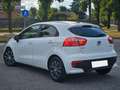 Kia Rio 1.2 CVVT 5p. Blanc - thumbnail 5