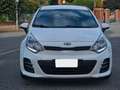 Kia Rio 1.2 CVVT 5p. Blanc - thumbnail 1