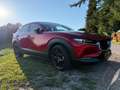 Mazda CX-30 CX-30 e-Skyactive G122 Homura Rot - thumbnail 6