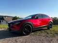 Mazda CX-30 CX-30 e-Skyactive G122 Homura Rot - thumbnail 5