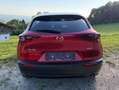 Mazda CX-30 CX-30 e-Skyactive G122 Homura Rot - thumbnail 13
