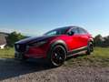 Mazda CX-30 CX-30 e-Skyactive G122 Homura Rot - thumbnail 4