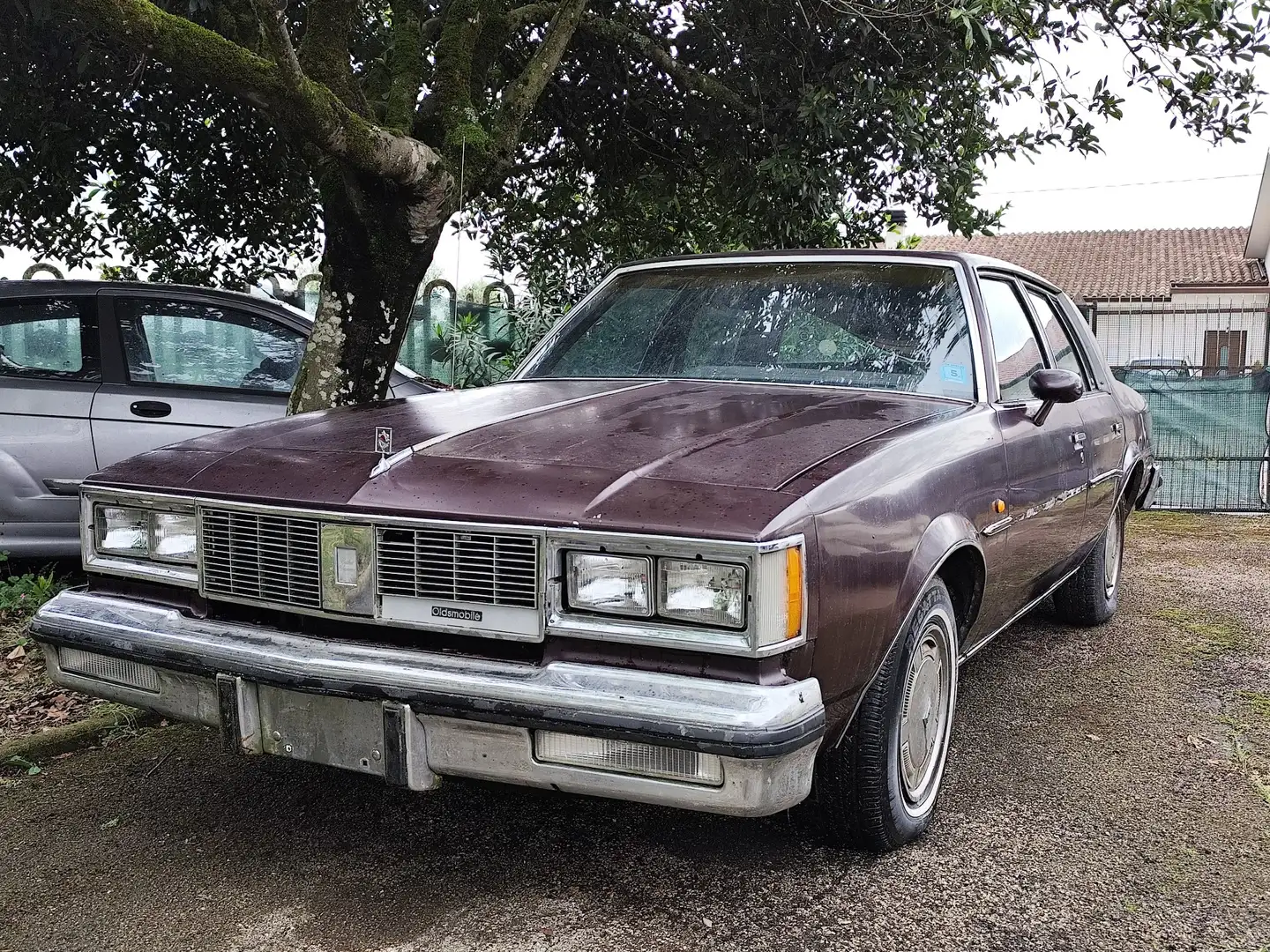 Oldsmobile Cutlass cutlas supreme Broughton - 2