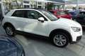 Audi Q2 35 TDI 25.600 KM Autom Leder Navi AHK Pano-SD Blanc - thumbnail 3