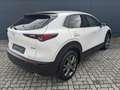 Mazda CX-30 2.5l (140PS) Exclusive Bose Matrix-LED 360°Kamera Weiß - thumbnail 12