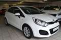 Kia Rio 1.1 CRDi Edition 7 *1.HAND* CO²-094g*KLIMA Weiß - thumbnail 2