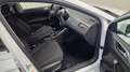 Volkswagen Polo 1.0 TSI 95pk Comfortline Blanc - thumbnail 12