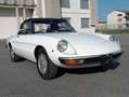 Alfa Romeo Spider 2.0 Veloce Duetto Weiß - thumbnail 5