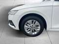 Skoda Octavia Combi 2.0TDI Ambition DSG LED GRA AHK Weiß - thumbnail 8